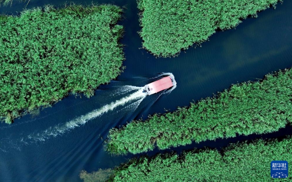 雄安新區(qū)の夏景色　河北省