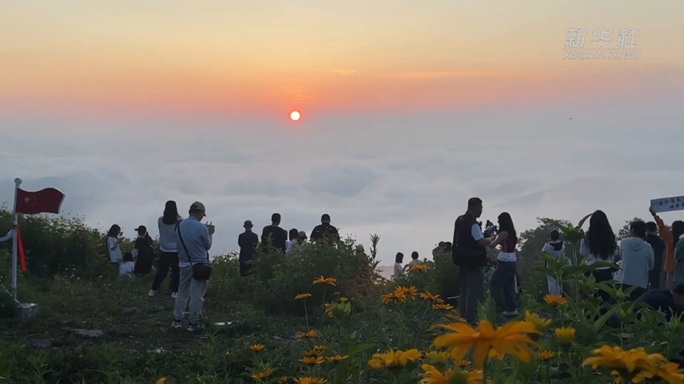 夏のスキー場が「涼を楽しむ」リゾート地に！