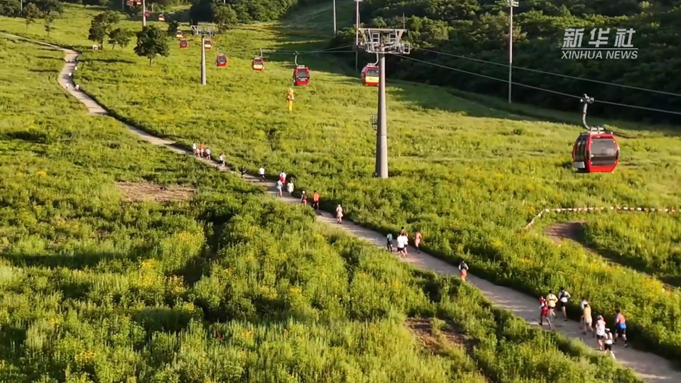 夏のスキー場(chǎng)が「涼を楽しむ」リゾート地に！