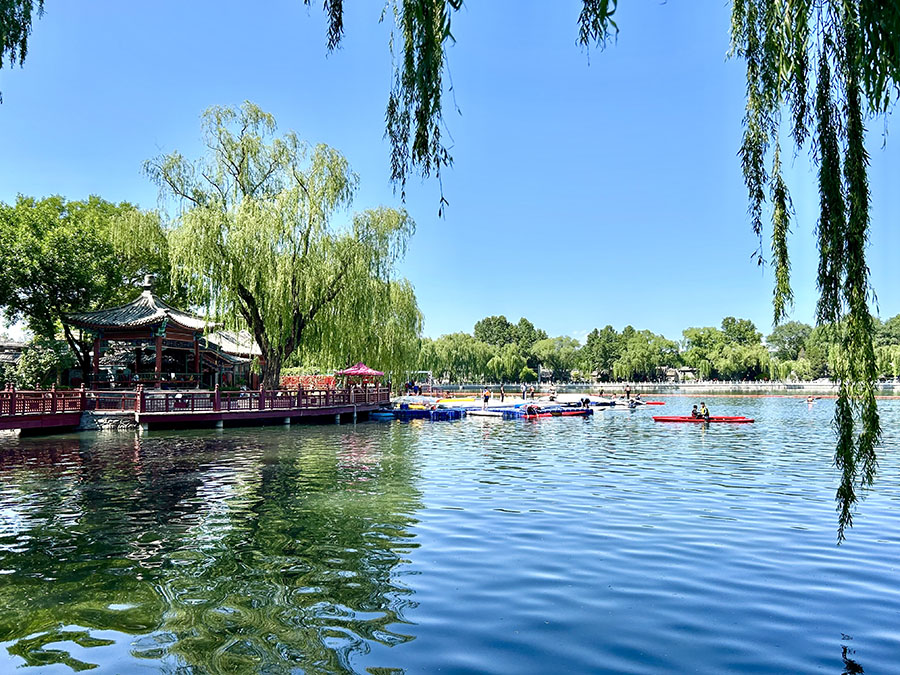 ひとときの癒し