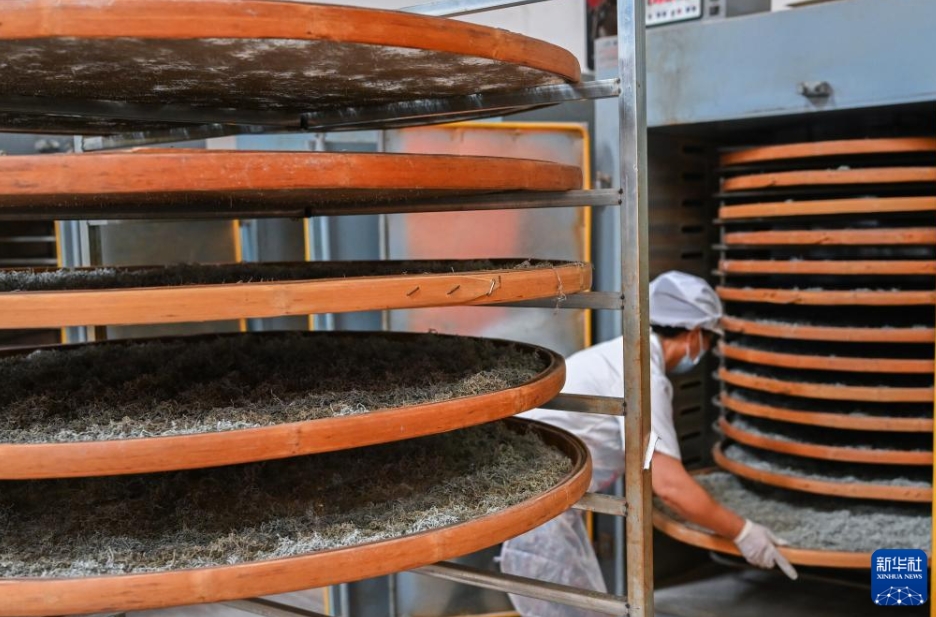 農(nóng)家の富裕化と産業(yè)振興に寄與する「藤茶」　湖北省來鳳