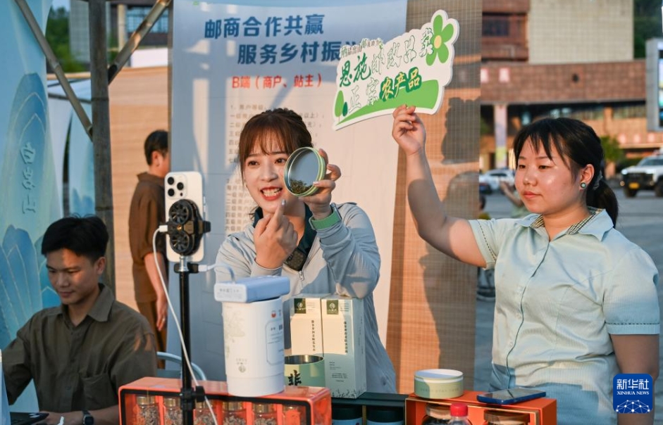 農(nóng)家の富裕化と産業(yè)振興に寄與する「藤茶」　湖北省來(lái)鳳