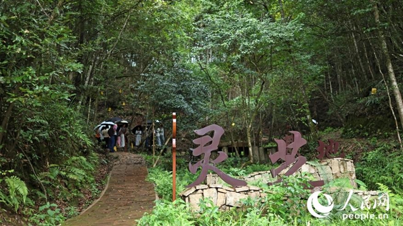 霊芝栽培拠點。（撮影?楊灝昱）