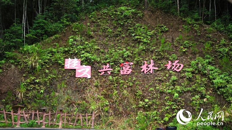 捷文共同富裕農(nóng)場。（撮影?楊灝昱）