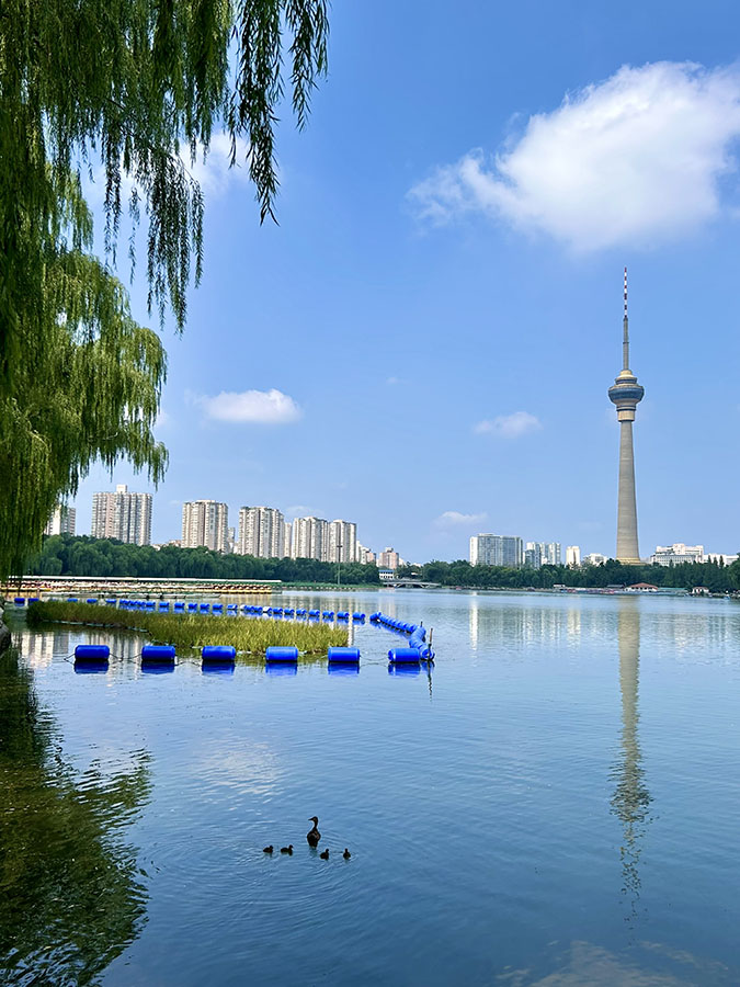 真夏の北京 玉淵潭公園