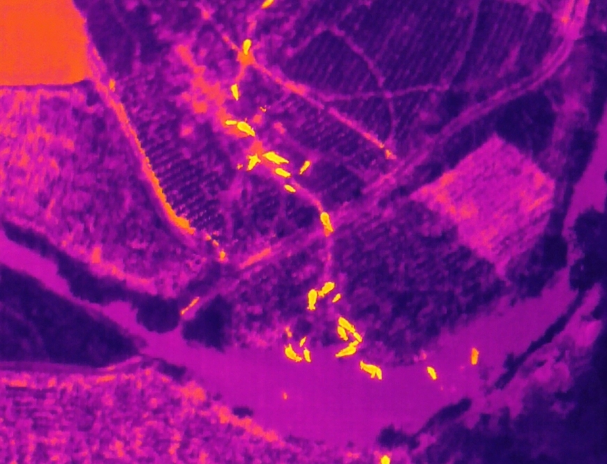 ドローンで43頭の野生アジアゾウを見守る雲(yún)南省の警察官