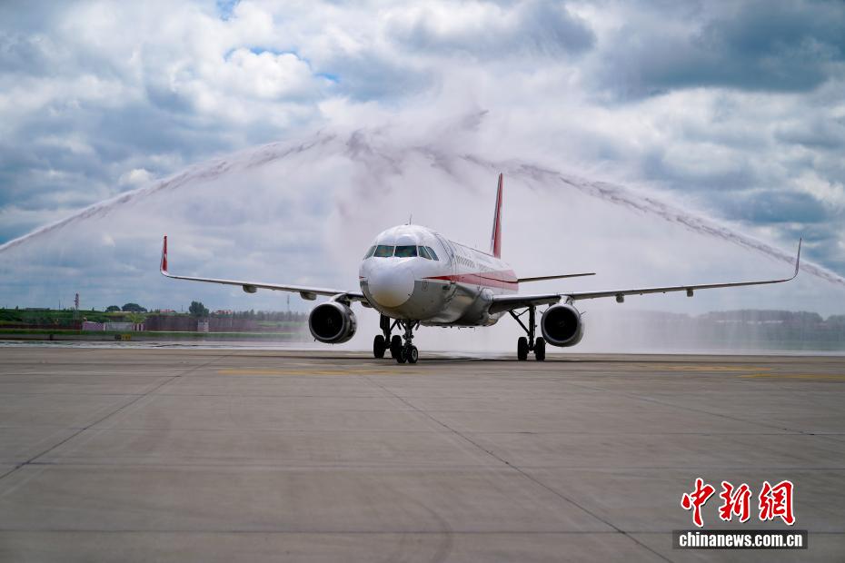 パンダの「芝士」と「芝麻」が成都から哈爾浜に引っ越し　黒竜江省