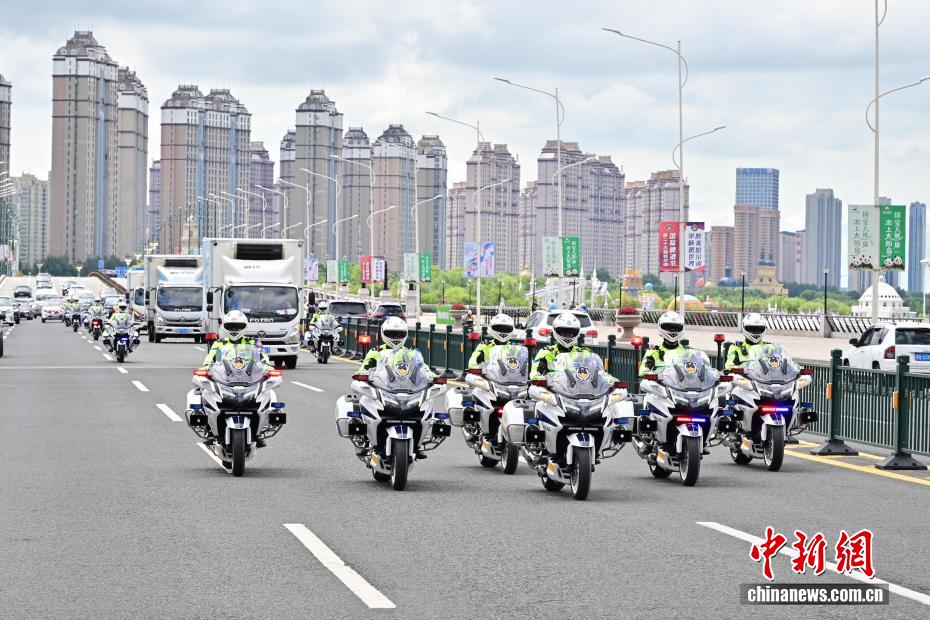 パンダの「芝士」と「芝麻」が成都から哈爾浜に引っ越し　黒竜江省