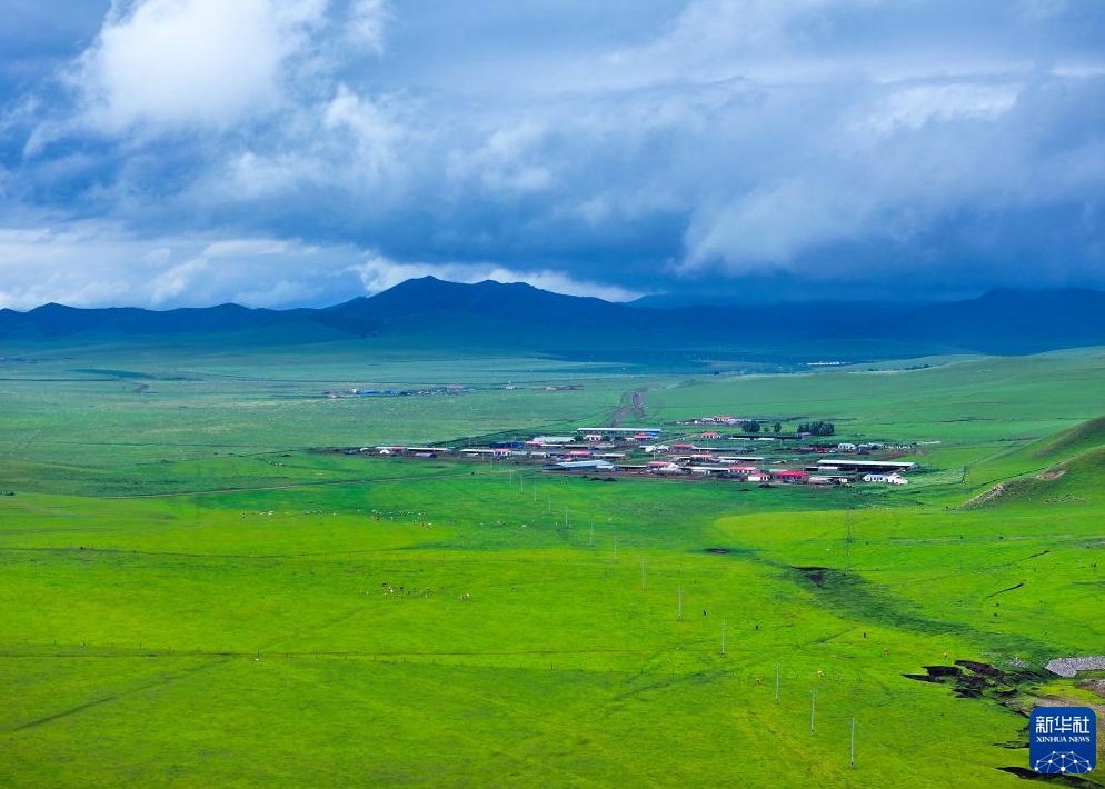 目の覚めるような緑が美しい夏の扎魯特草原　內(nèi)蒙古