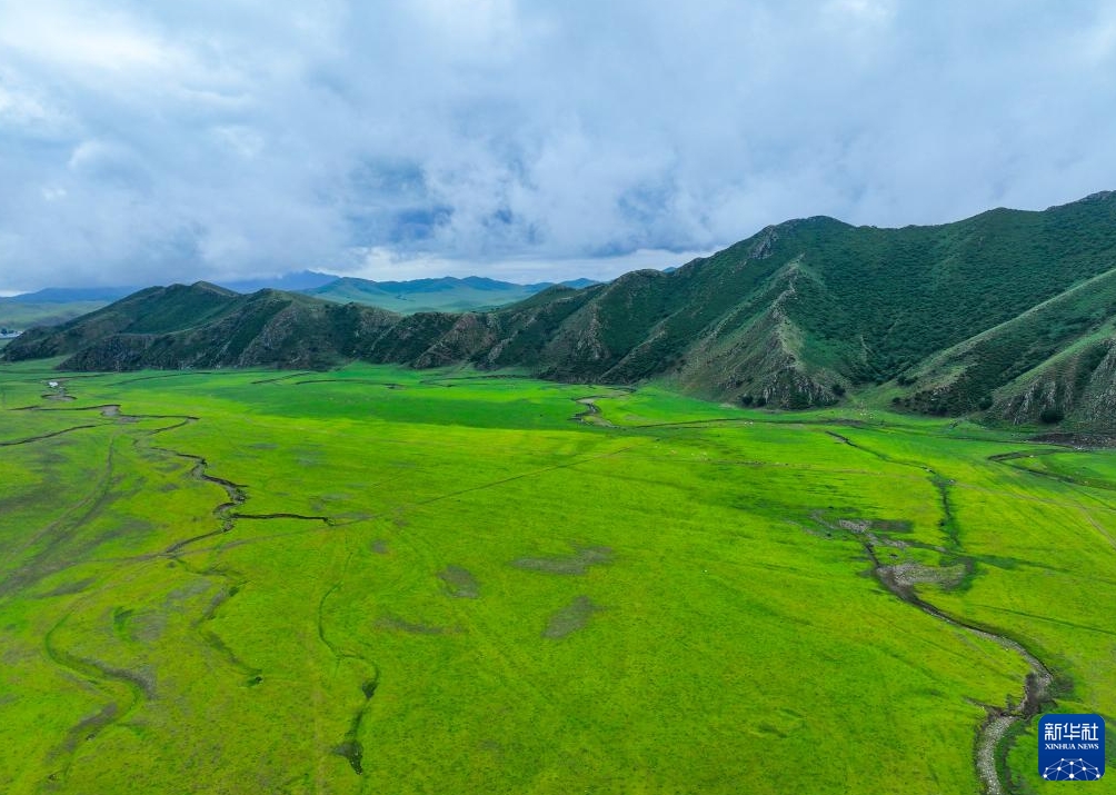 目の覚めるような緑が美しい夏の扎魯特草原　內(nèi)蒙古
