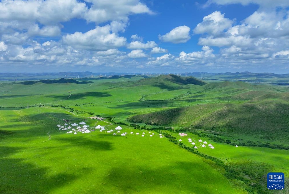 目の覚めるような緑が美しい夏の扎魯特草原　內(nèi)蒙古