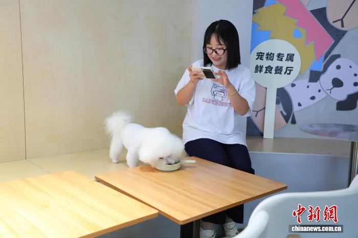 重慶市のあるペット用レストランで、イヌにイヌ用メニューを食べさせる女性（撮影?梁欽卿）。