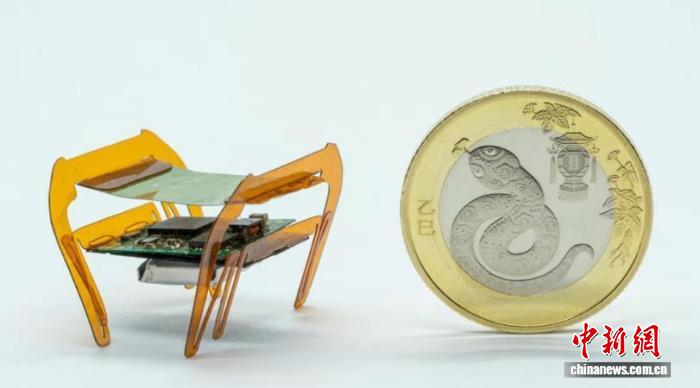 電子科技大學(xué)が「電子ゴキブリ」軟體マイクロロボットを開(kāi)発