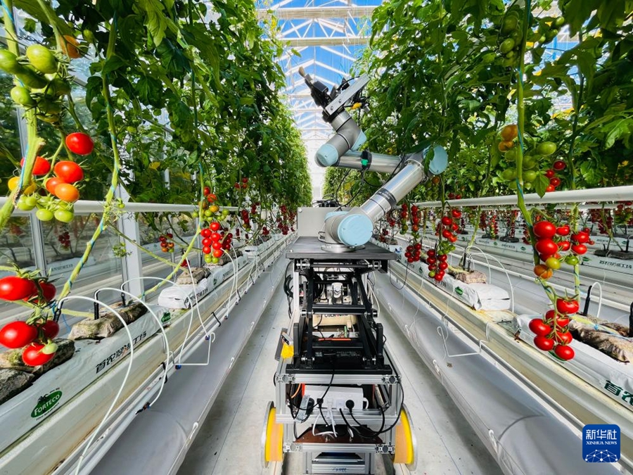 世界初の全工程スマート育種ロボットを発表