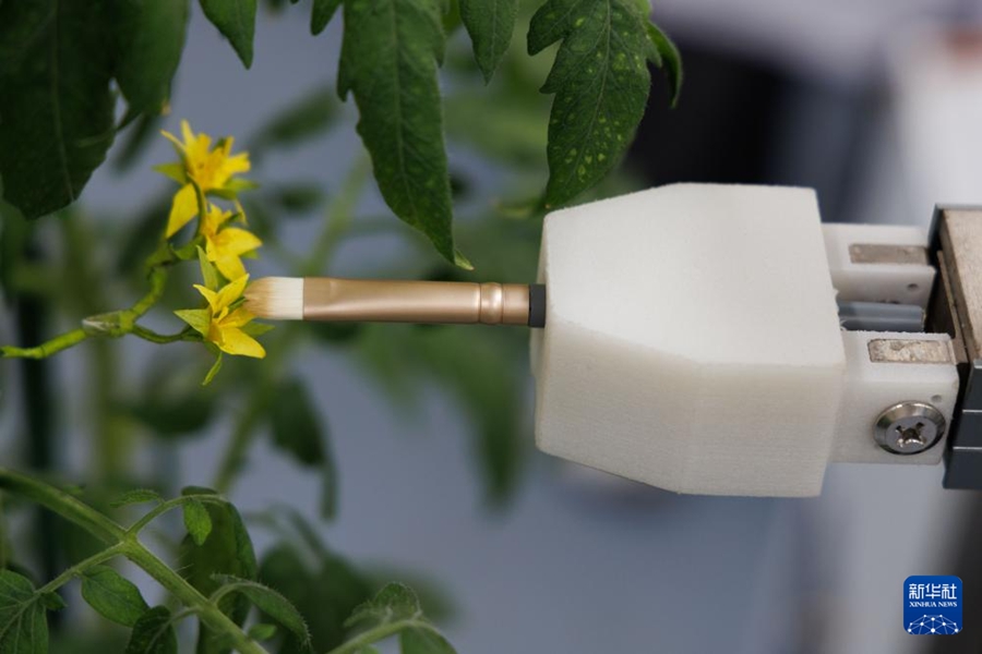 世界初の全工程スマート育種ロボットを発表