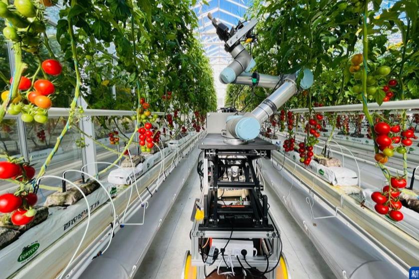 世界初の全工程スマート育種ロボットを発表