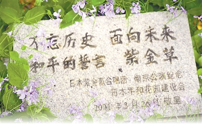 中國(guó)侵略日本軍南京大虐殺遭難同胞紀(jì)念館の紫金草花園にある「不忘歴史 面向未來 和平的誓言 紫金草」（歴史を忘れず 未來へ向かう 平和の誓い 紫金草）と刻まれた石碑。寫真提供：中國(guó)侵略日本軍南京大虐殺遭難同胞紀(jì)念館。