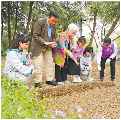 中國(guó)侵略日本軍南京大虐殺遭難同胞紀(jì)念館の紫金草花園で、紫金草國(guó)際ボランティアと共に紫金草の種をまく大門高子氏（左から3人目）。寫真提供：中國(guó)侵略日本軍南京大虐殺遭難同胞紀(jì)念館。