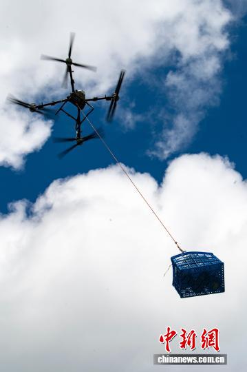 ドローンによる農(nóng)作物輸送のコストは500グラムあたりわずか2円　 浙江省武義