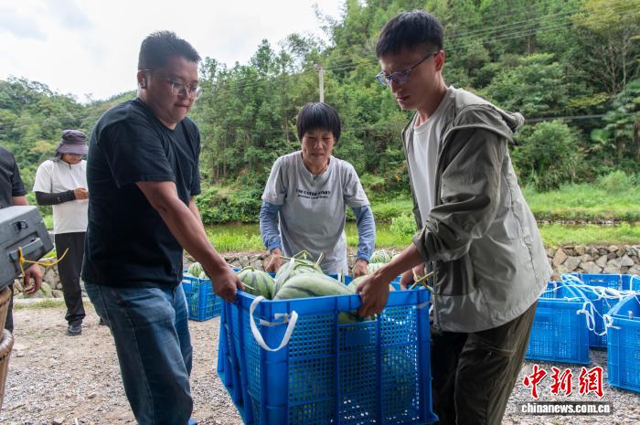 ドローンによる農(nóng)作物輸送のコストは500グラムあたりわずか2円　 浙江省武義