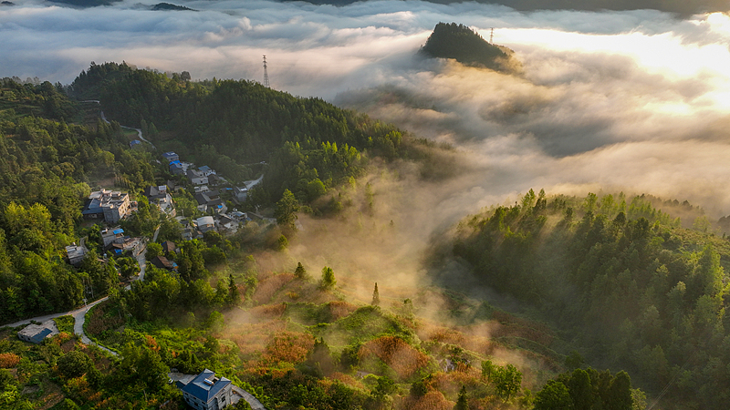 朝日に包まれ幻想的な景色広がる重慶市の沙渓村