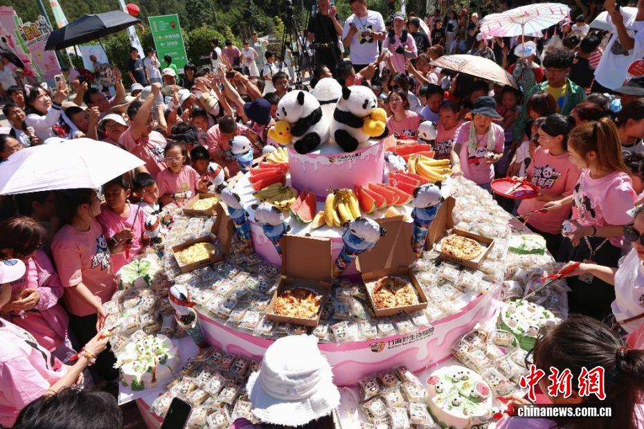 ジャイアントパンダの「霊巖」が8歳に　河南省洛陽