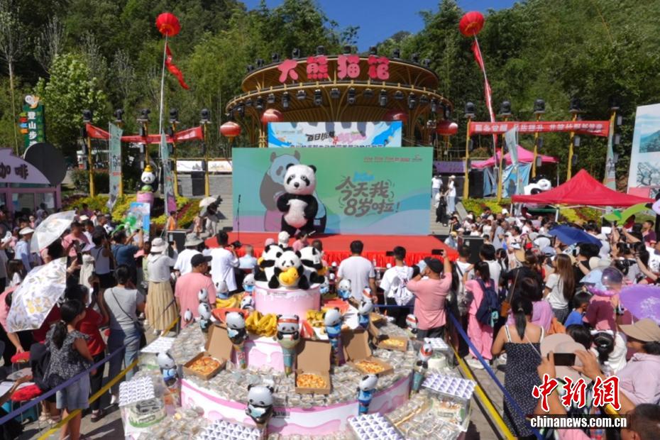 ジャイアントパンダの「霊巖」が8歳に　河南省洛陽(yáng)