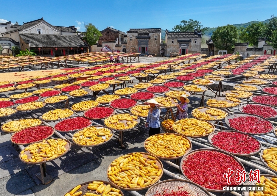 鮮やかな色合いの天日干し広がる呈坎古村　安徽省黃山