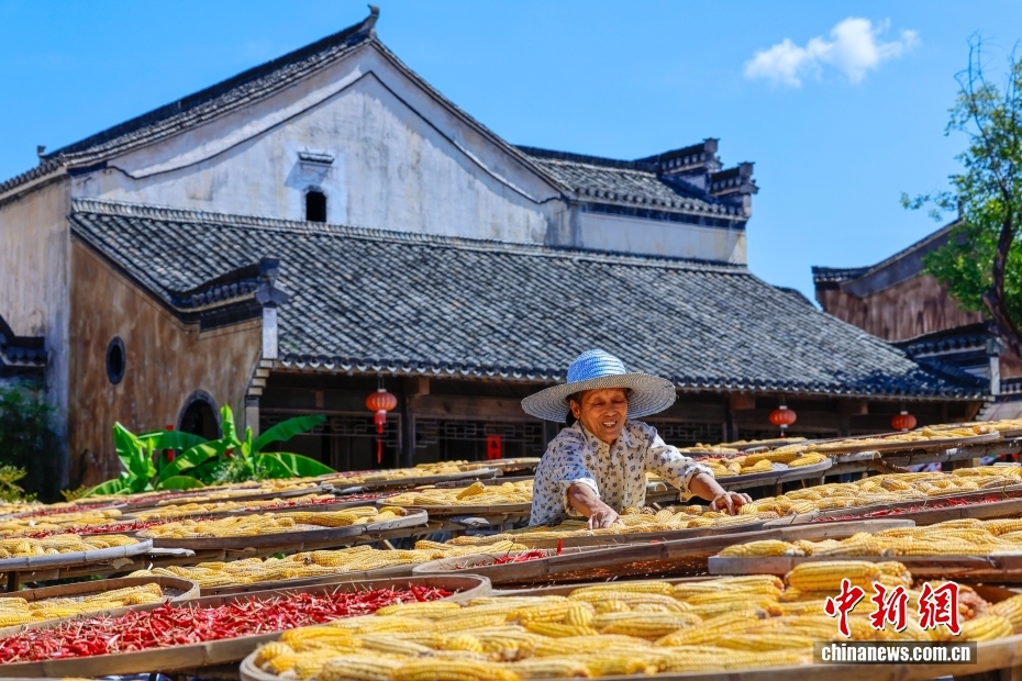 鮮やかな色合いの天日干し広がる呈坎古村　安徽省黃山