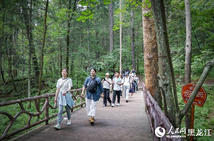 森林の中で大自然を堪能　黒竜江?上甘嶺渓水國家森林公園