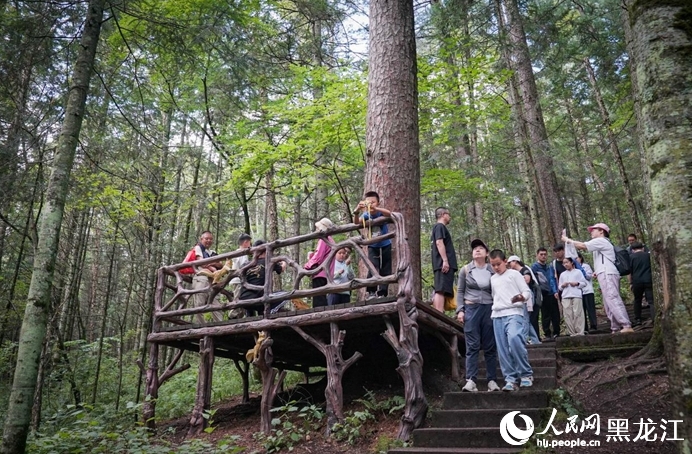 森林の中で大自然を堪能　黒竜江?上甘嶺渓水國家森林公園