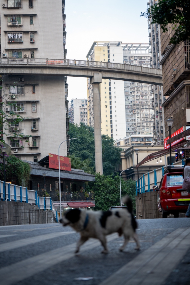 上に下に行き交う