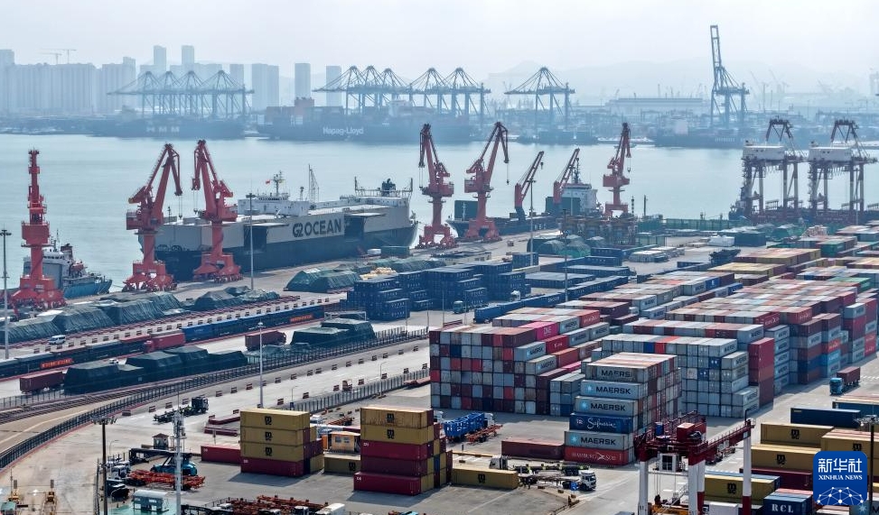 青島港の輸出入航路數(shù)が引き続き増加