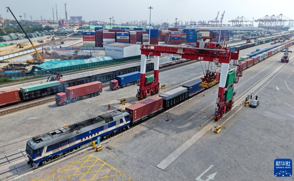 青島港の輸出入航路數(shù)が引き続き増加