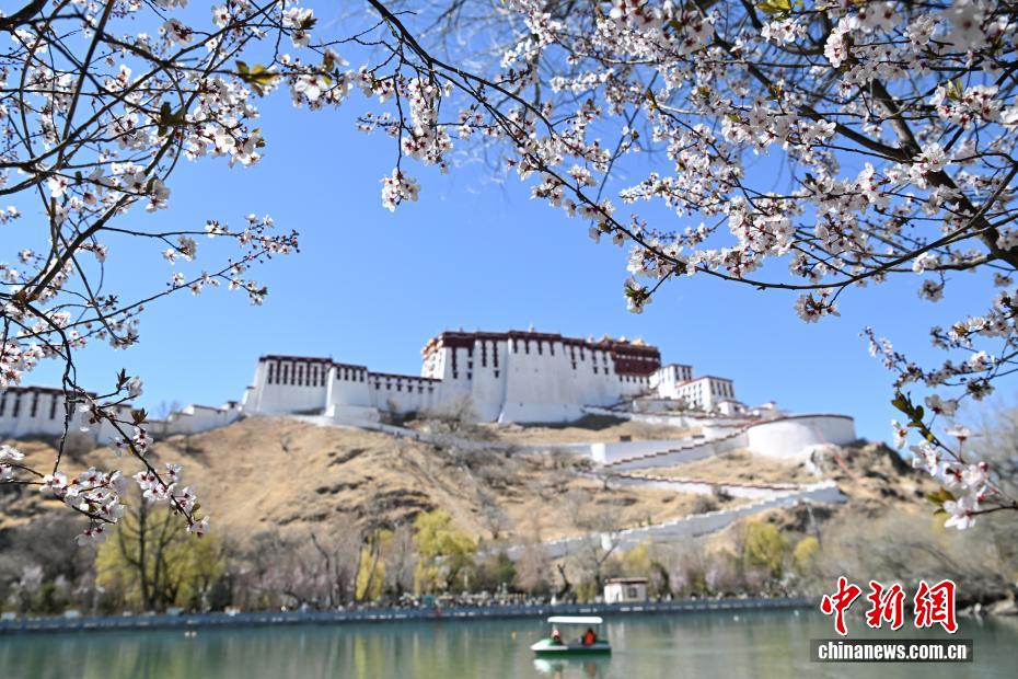 「文化の至寶」布達(dá)拉宮の四季　西蔵