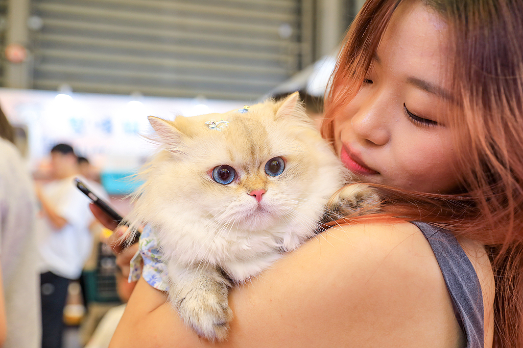 （寫真著作権はCFP視覚中國所有のため転載禁止）