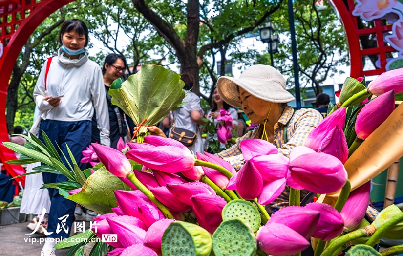市民や観光客で賑わう江蘇省蘇州市姑蘇區(qū)白塔西路のハスの花マーケット。ハスのほのかに甘い香りが漂う。（8月14日撮影?張鋒/寫(xiě)真著作権は人民図片網(wǎng)所有のため転載禁止）
