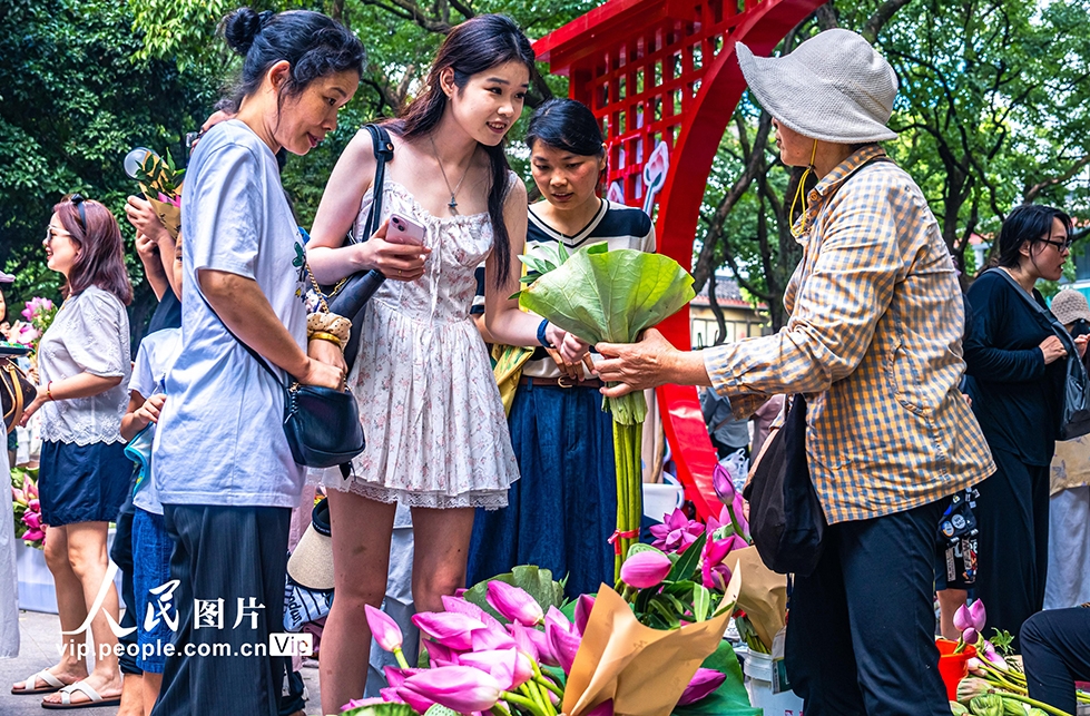水郷?蘇州の「ハスの花マーケット」　江蘇省