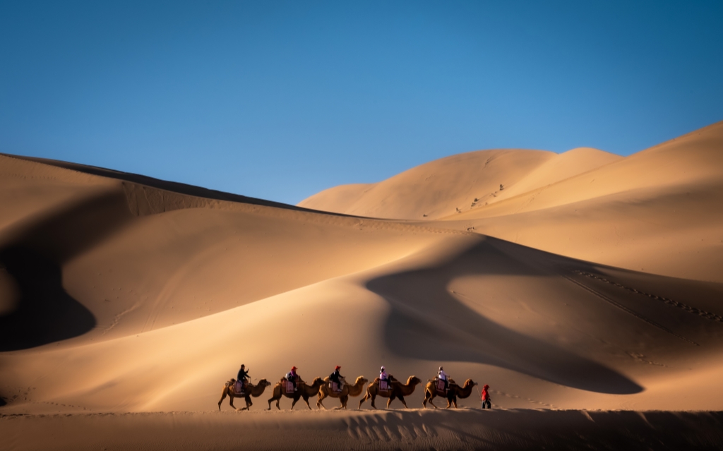 光と影のキャラバン