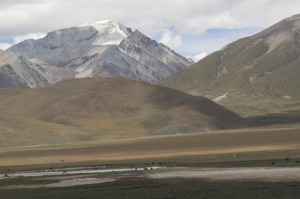 青蔵鉄道の牧歌風(fēng)景