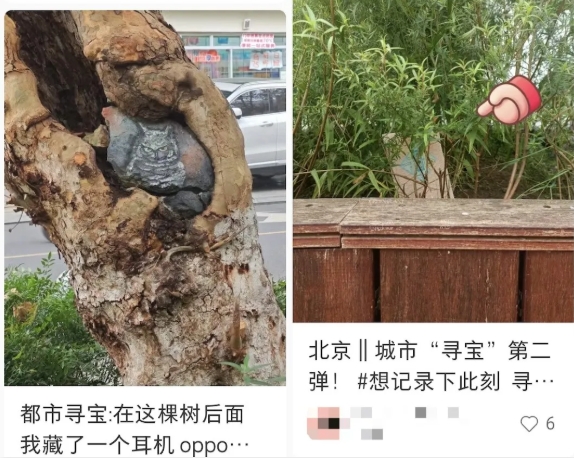 ソーシャルコマースプラットフォーム?小紅書のスクリーンショット。