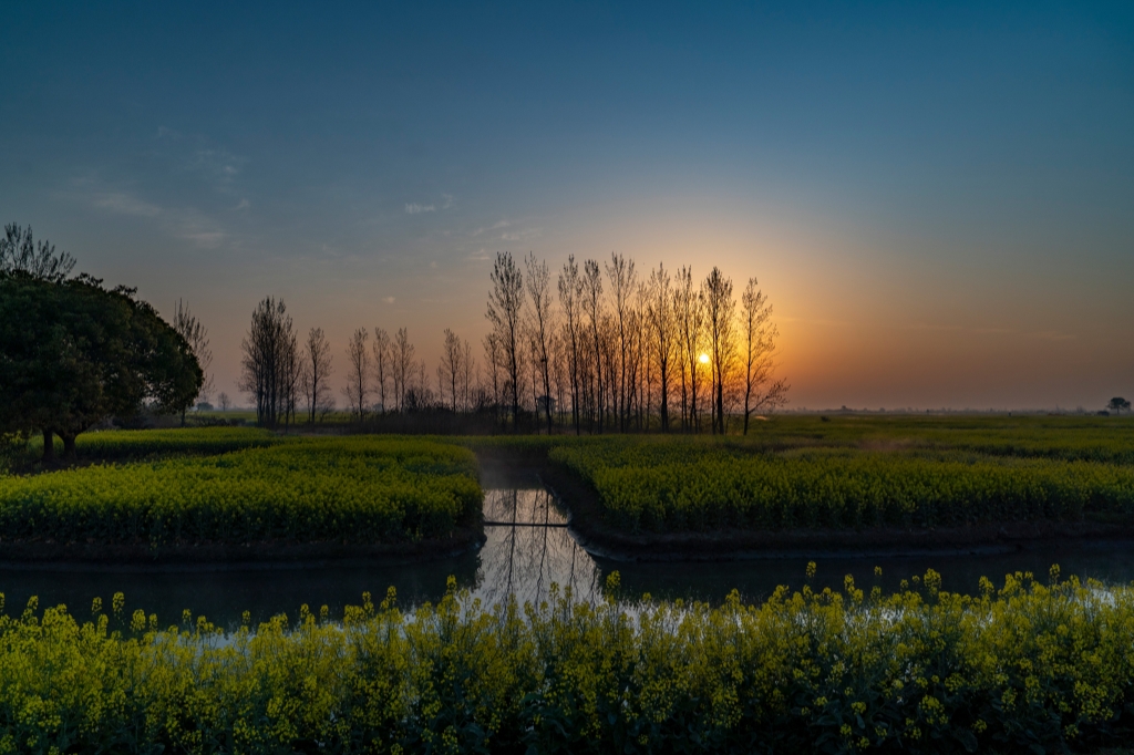 菜の花畑から始まる1日