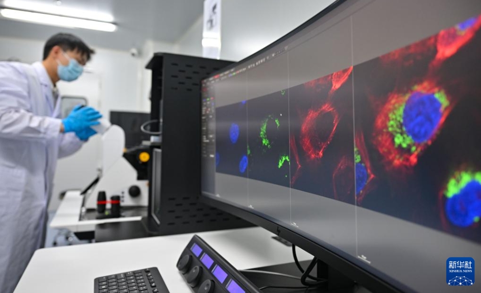 ?？诙愰v分析所がWCO地域稅関分析所に認(rèn)定　海南省