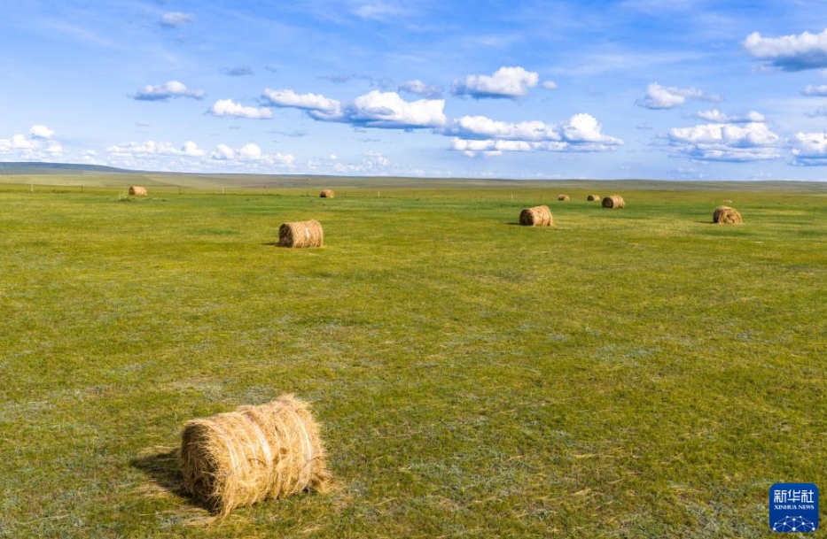 呼倫貝爾大草原に広がる美しい秋景色　內(nèi)蒙古