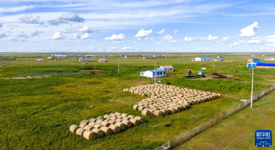 呼倫貝爾大草原に広がる美しい秋景色　內(nèi)蒙古