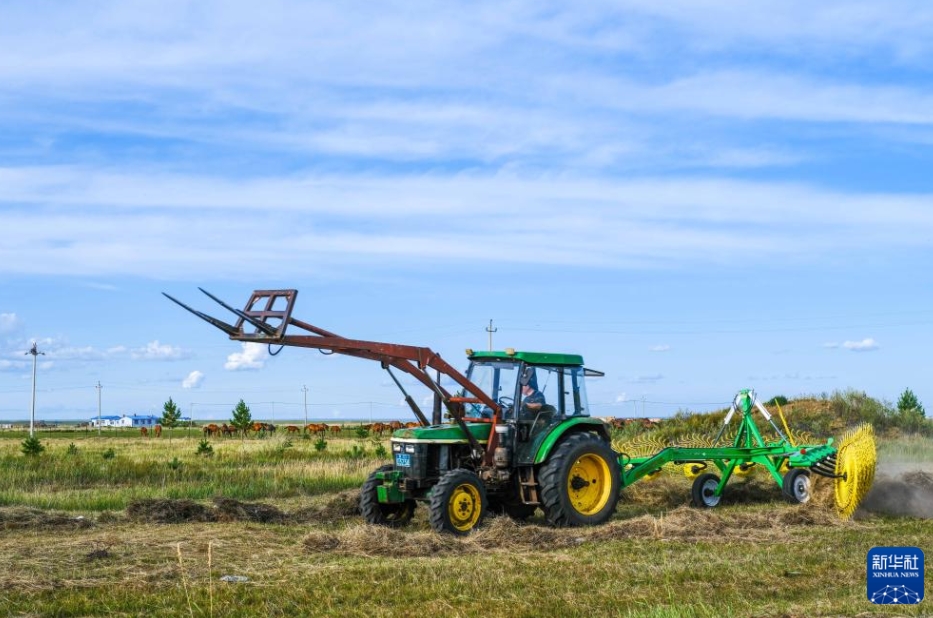 呼倫貝爾大草原に広がる美しい秋景色　內(nèi)蒙古