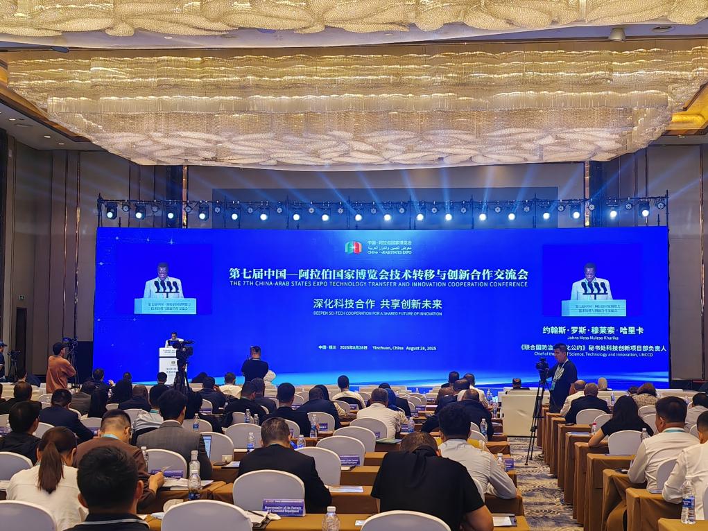 第7回中國?アラブ諸國博覧會(huì)技術(shù)移転?イノベーション協(xié)力交流會(huì)の會(huì)場の様子。撮影?唐紫宸