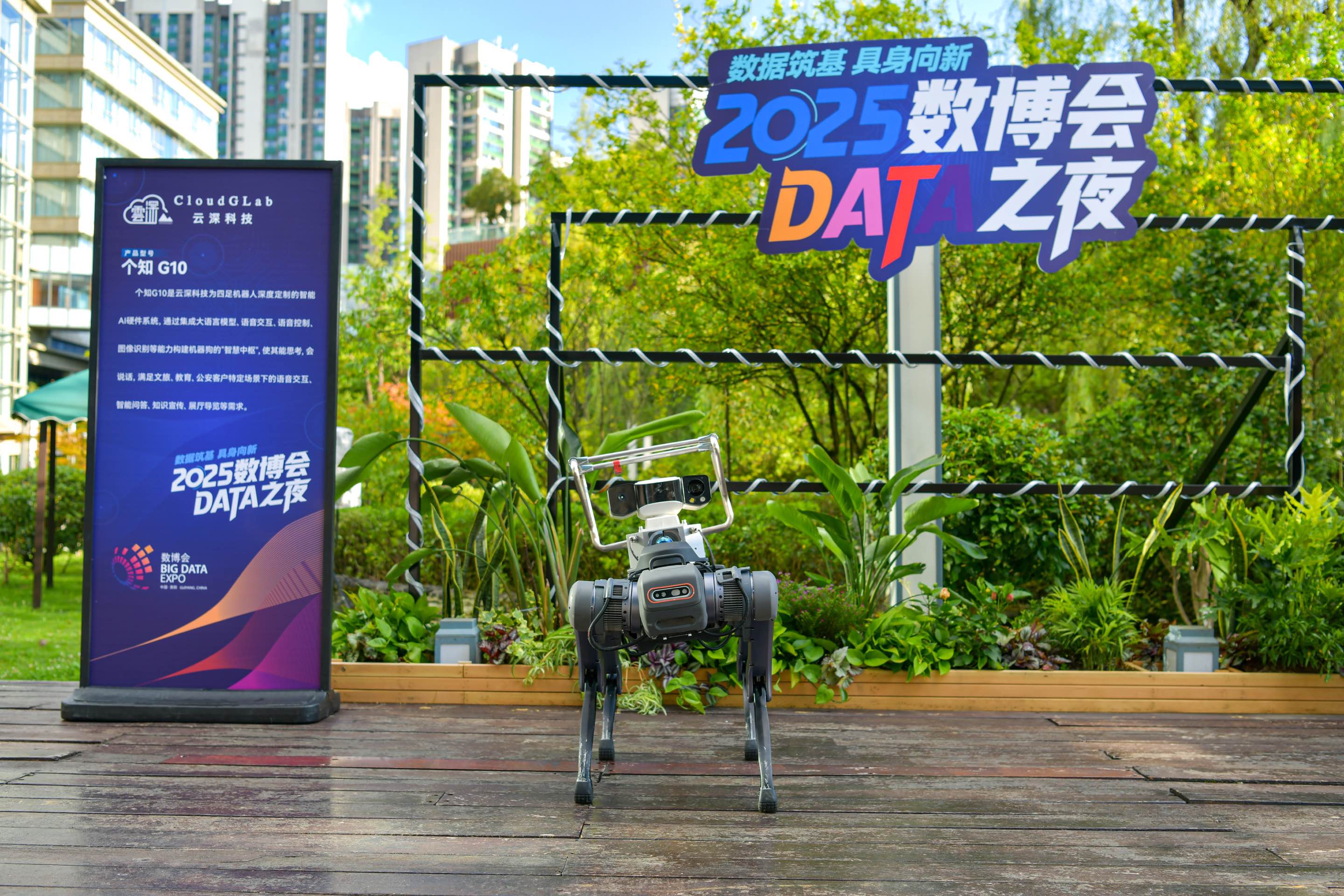 イベント「DATAの夜」に登場した犬型ロボット。（撮影?任峰濤）