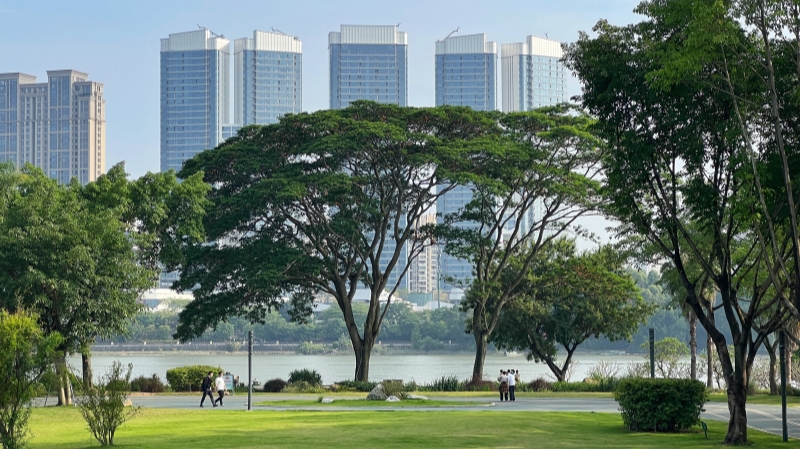 都市と緑の調(diào)和