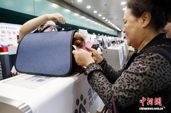 中國(guó)東方航空がペットと一緒に機(jī)內(nèi)搭乗できるサービスを開始